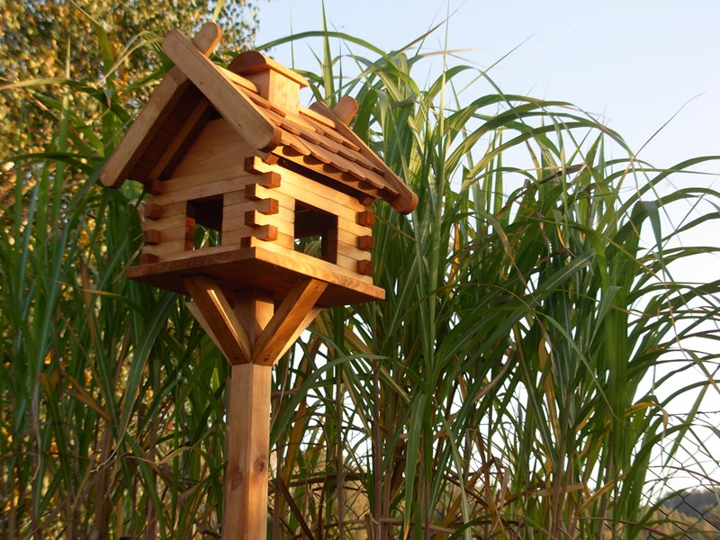 Karmniki dla ptaków - praktyczna dekoracyjna w twoim ogrodzie